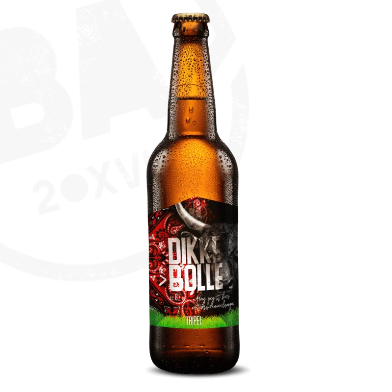 BA-logo-Dikke-Bolle-1200x1200px-optimized